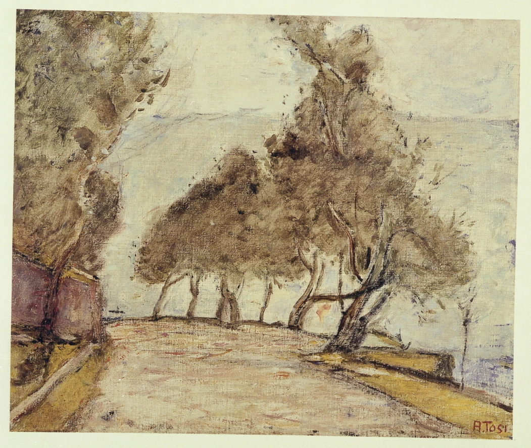Viale degli ulivi - Rovereto, Trento
